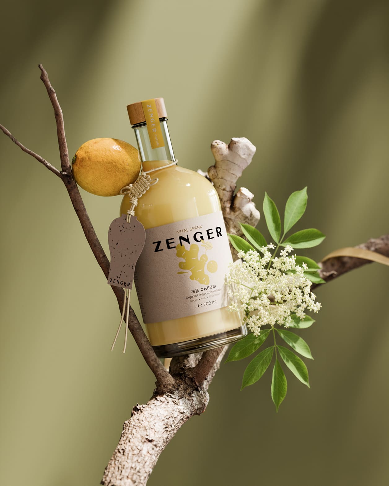 Golden Harmony - 채움 Cheum